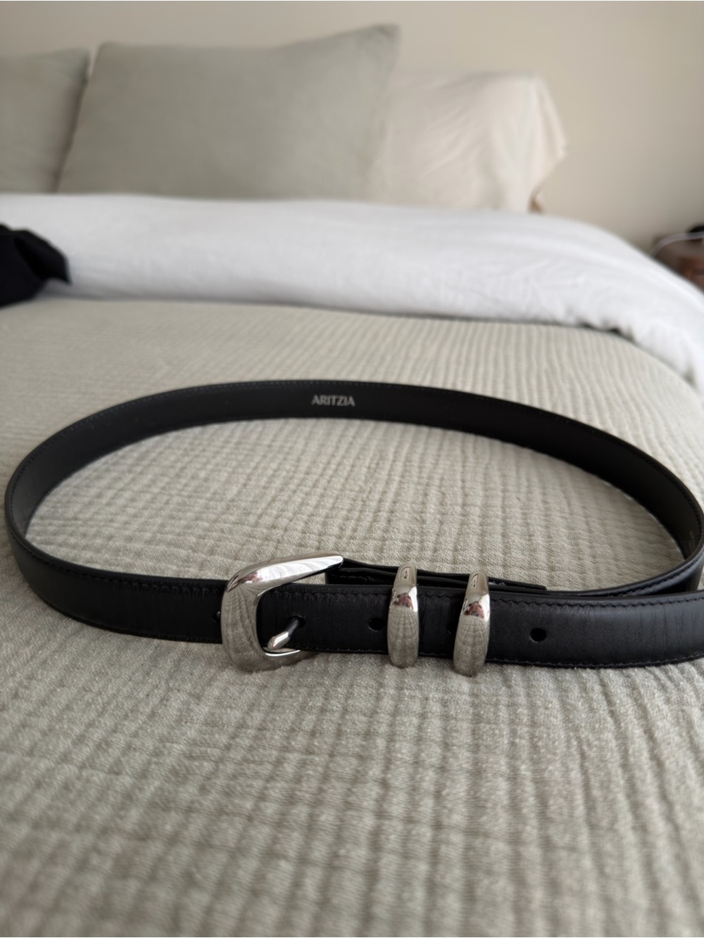 Aritzia solid brass silver / black leather belt